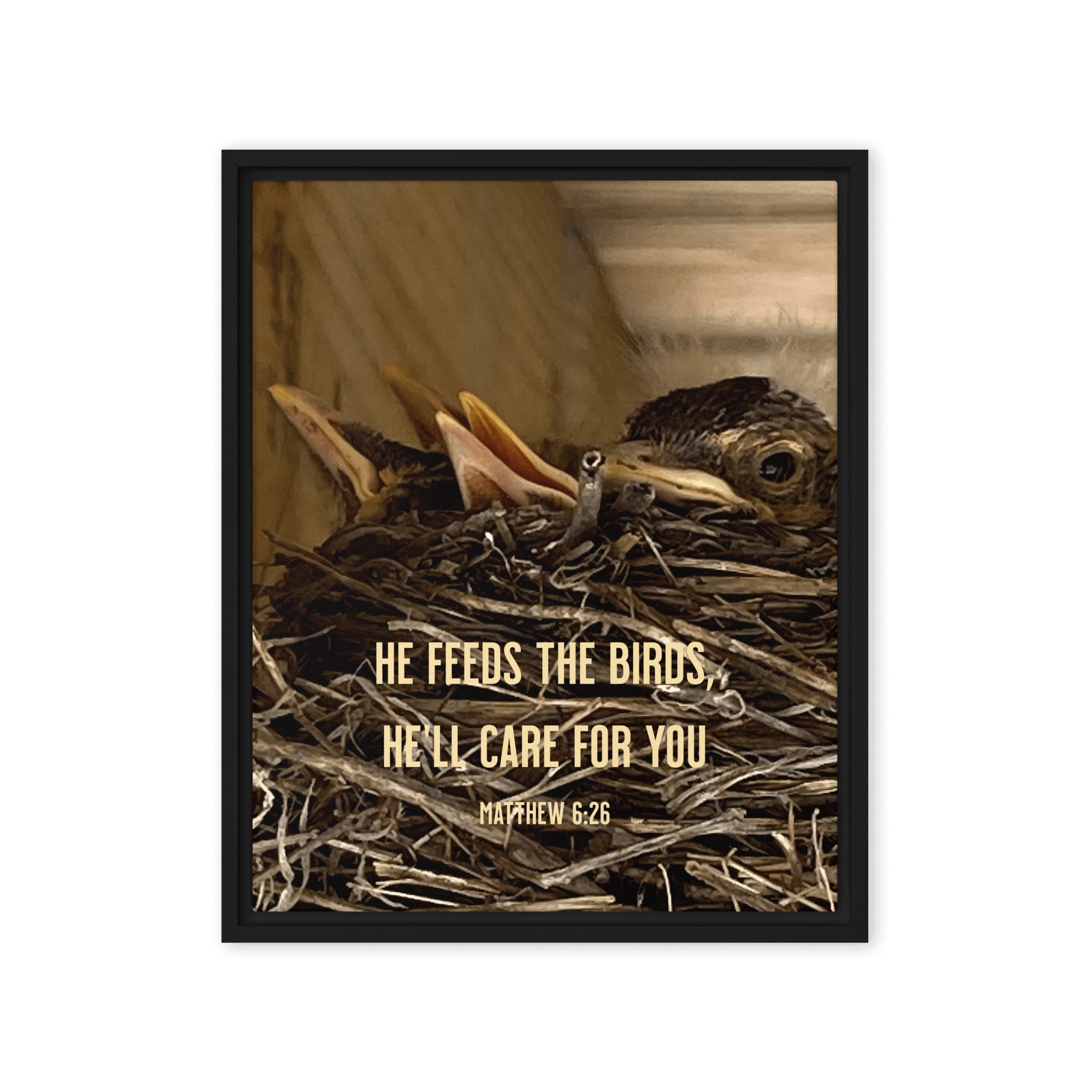 Matt 6:26, Baby Robins, He'll Care for You Framed Canvas
