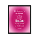 1 John 4:14 - Bible Verse, that the Father Framed Canvas