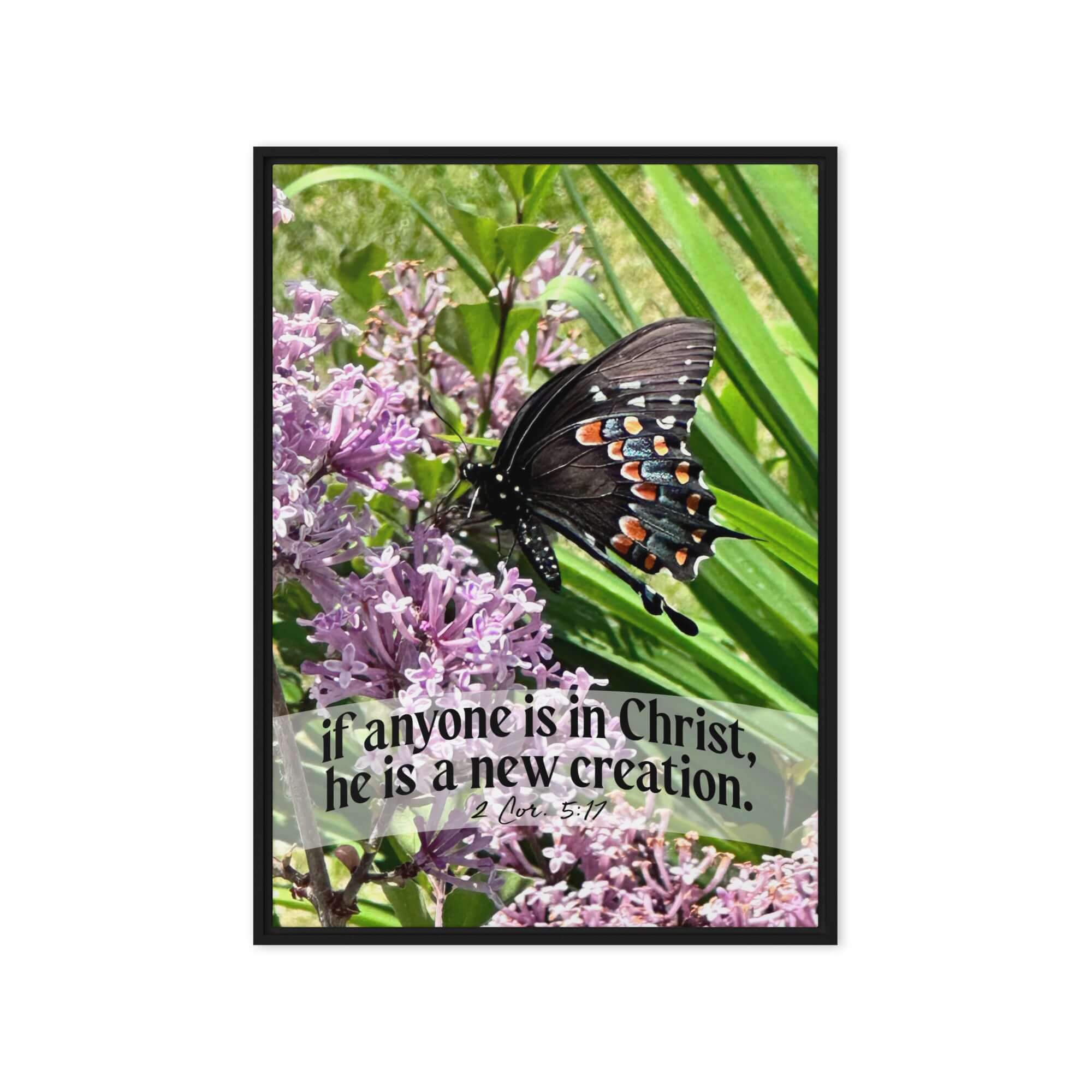 2 Cor. 5:17 Bible Verse, Butterfly Framed Canvas