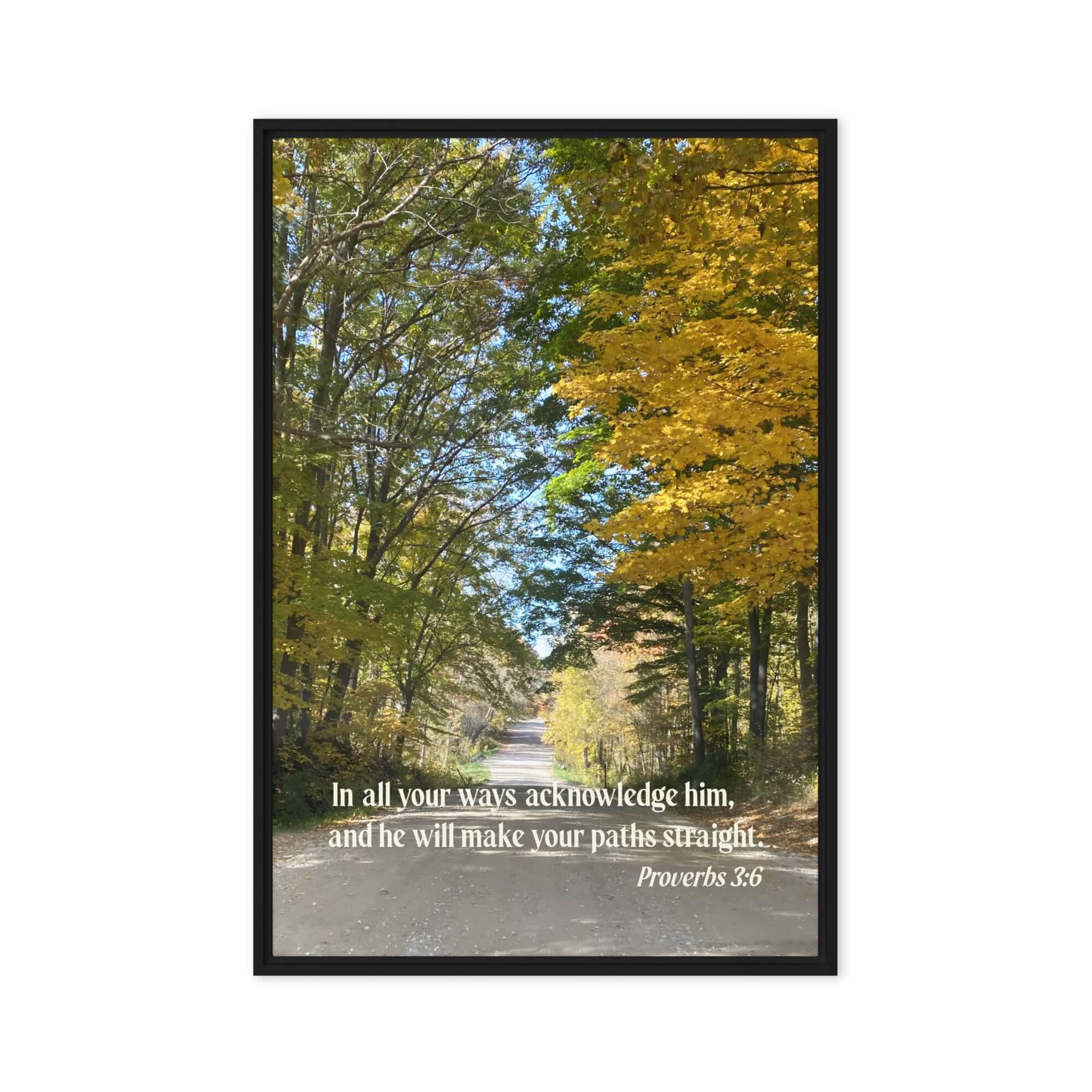 Prov 3:6, Bible Verse, Fall Road Framed Canvas