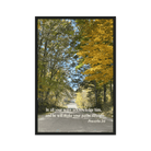 Prov 3:6, Bible Verse, Fall Road Framed Canvas