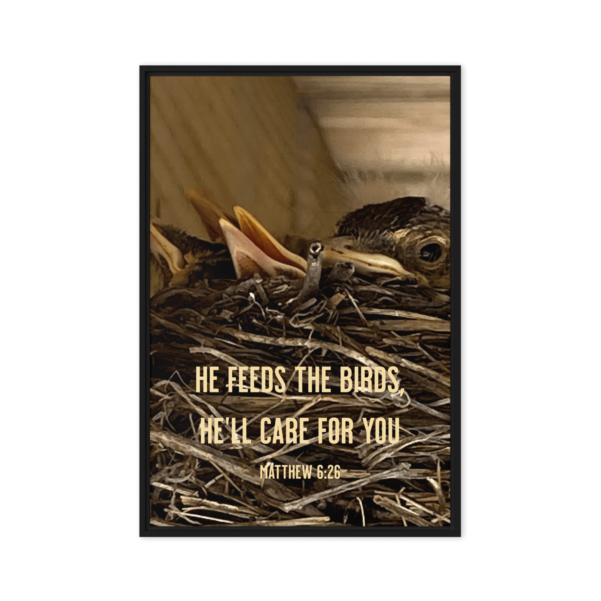 Matt 6:26, Baby Robins, He'll Care for You Framed Canvas