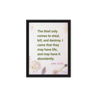 John 10:10 - Bible Verse, Abundant Life Framed Canvas