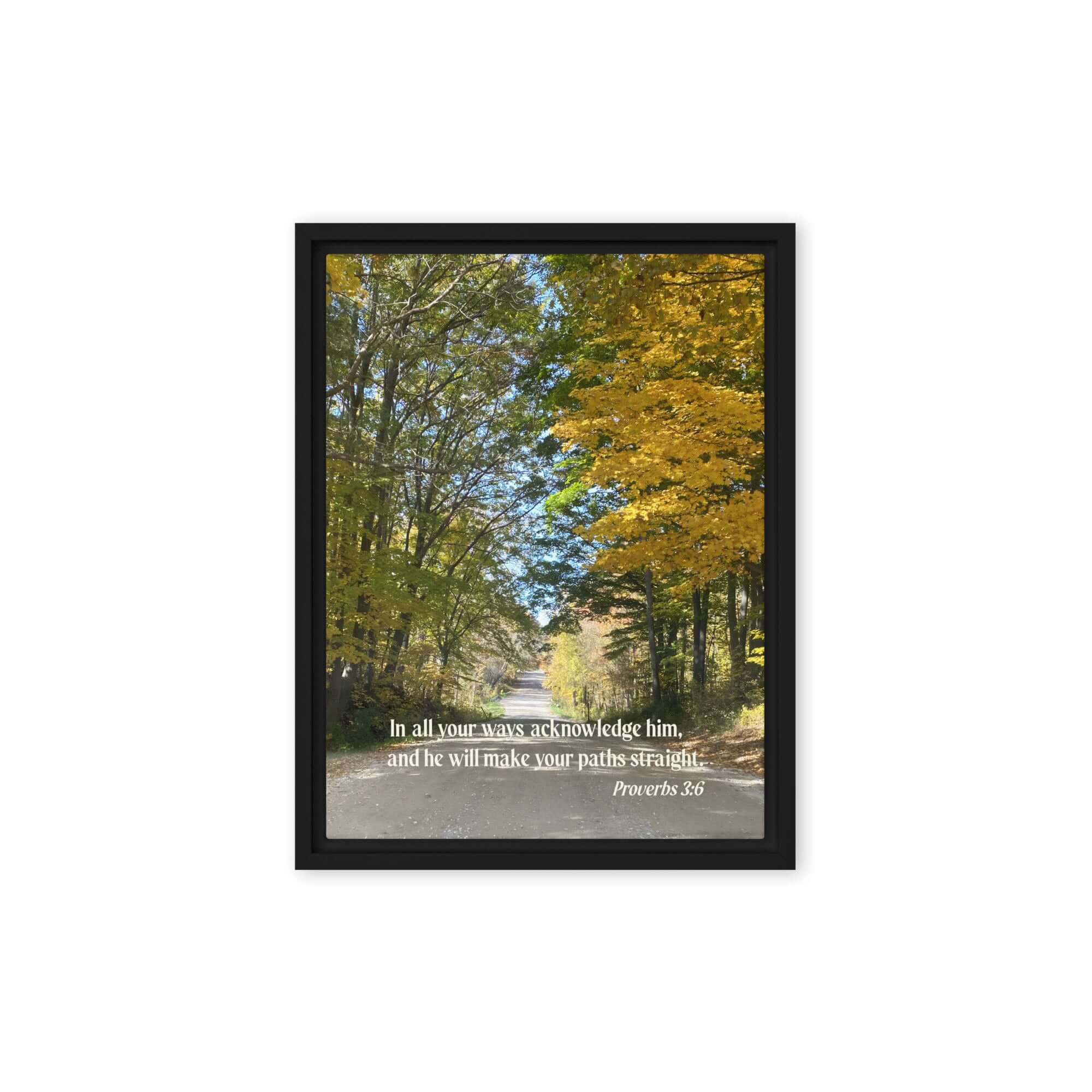 Prov 3:6, Bible Verse, Fall Road Framed Canvas