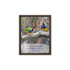 Matt 6:26, Gouldian Finches, He'll Care for You Framed Canvas