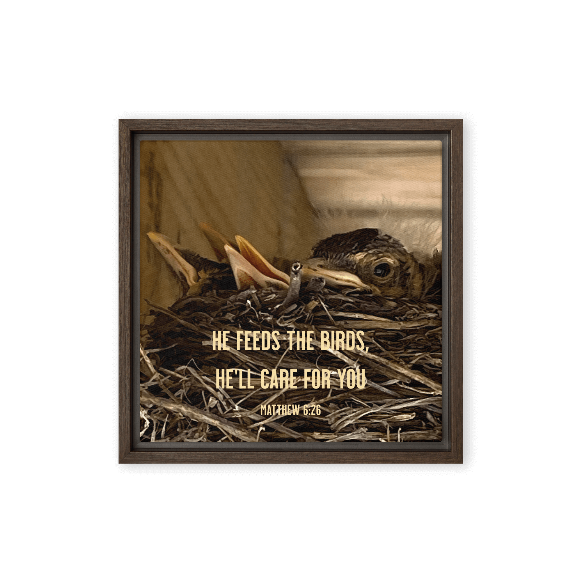 Matt 6:26, Baby Robins, He'll Care for You Framed Canvas