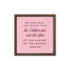 1 John 4:14 - Bible Verse, We have seen Framed Canvas