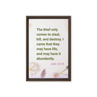 John 10:10 - Bible Verse, Abundant Life Framed Canvas