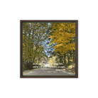 Prov 3:6, Bible Verse, Fall Road Framed Canvas