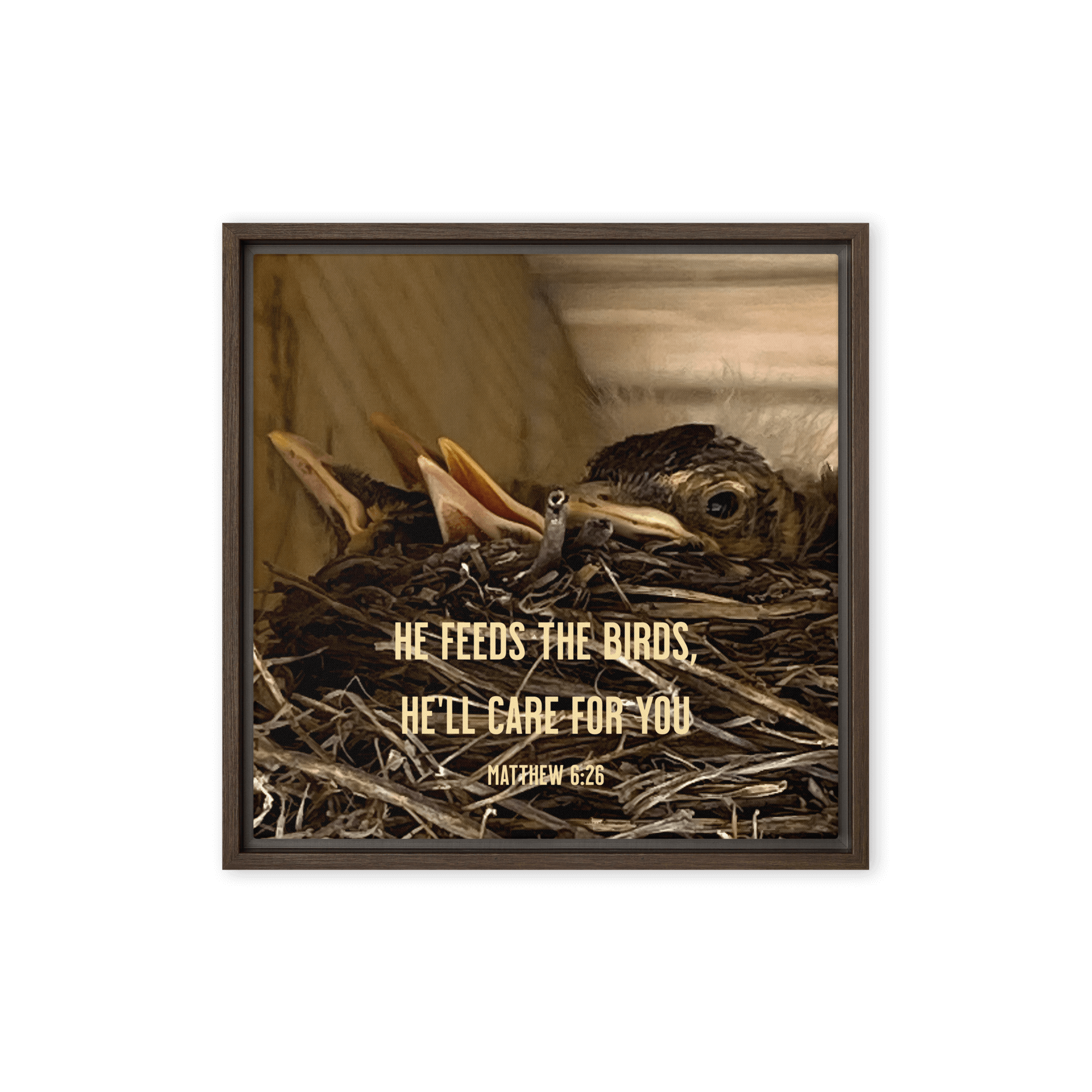 Matt 6:26, Baby Robins, He'll Care for You Framed Canvas