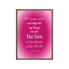 1 John 4:14 - Bible Verse, that the Father Framed Canvas