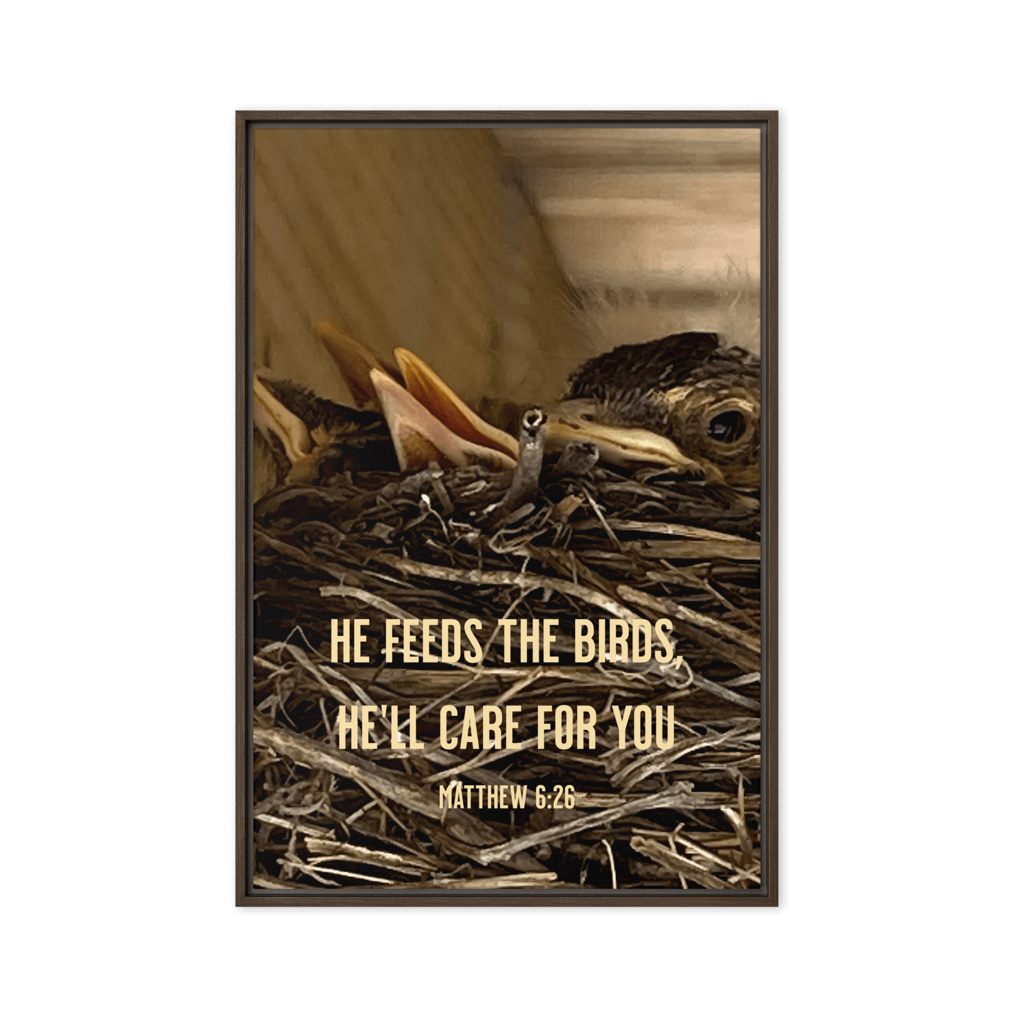 Matt 6:26, Baby Robins, He'll Care for You Framed Canvas