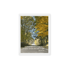 Prov 3:6, Bible Verse, Fall Road Framed Canvas