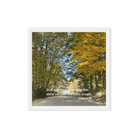 Prov 3:6, Bible Verse, Fall Road Framed Canvas