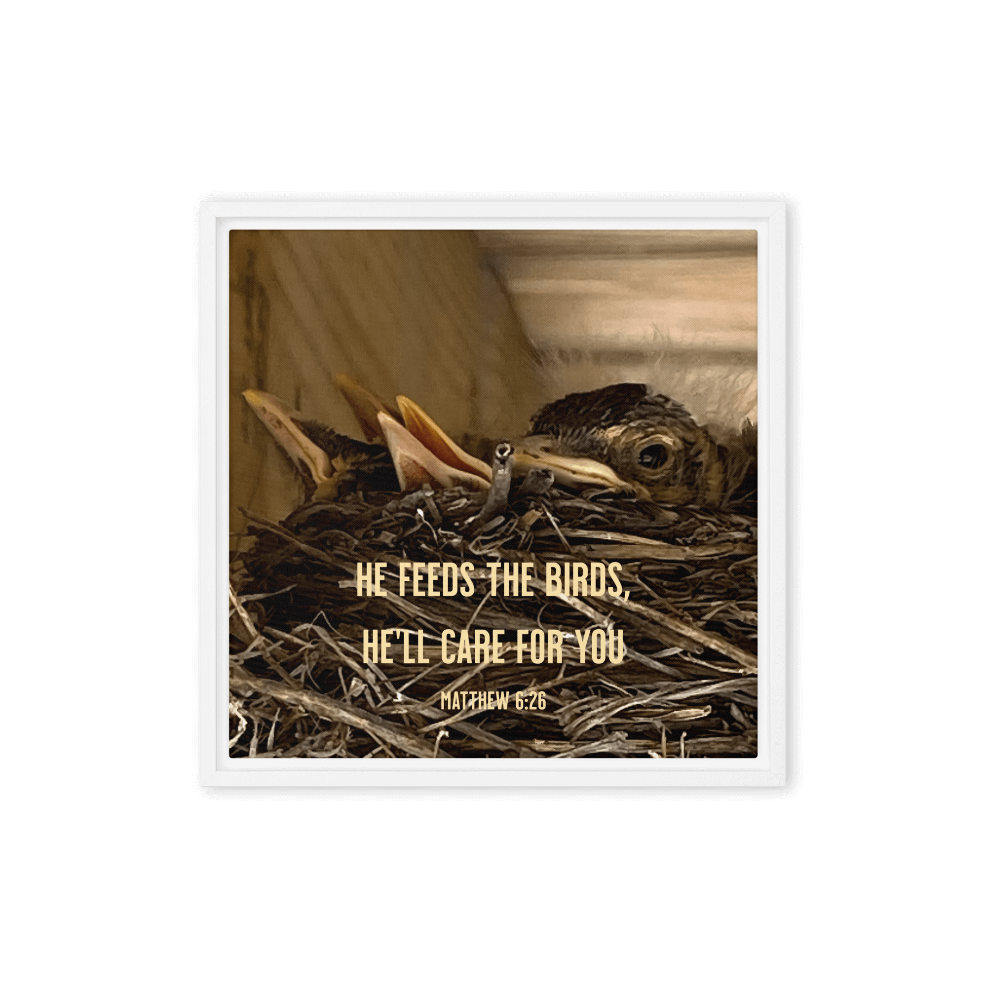 Matt 6:26, Baby Robins, He'll Care for You Framed Canvas