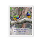 Matt 6:26, Gouldian Finches, He'll Care for You Framed Canvas