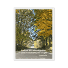 Prov 3:6, Bible Verse, Fall Road Framed Canvas
