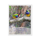 Matt 6:26, Gouldian Finches, He'll Care for You Framed Canvas