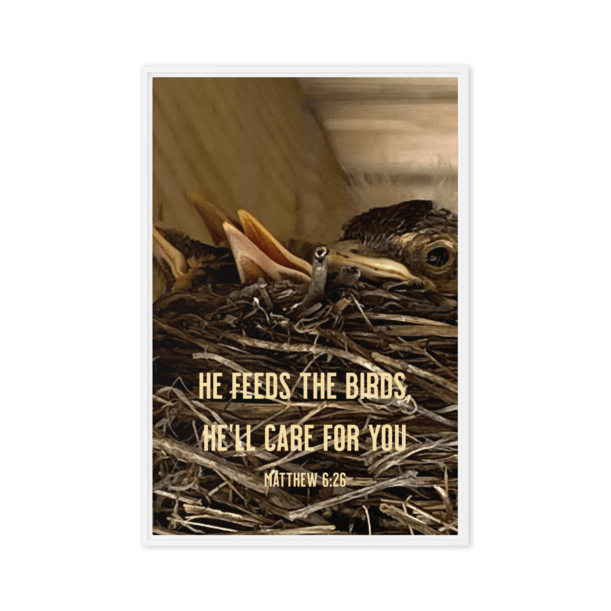 Matt 6:26, Baby Robins, He'll Care for You Framed Canvas