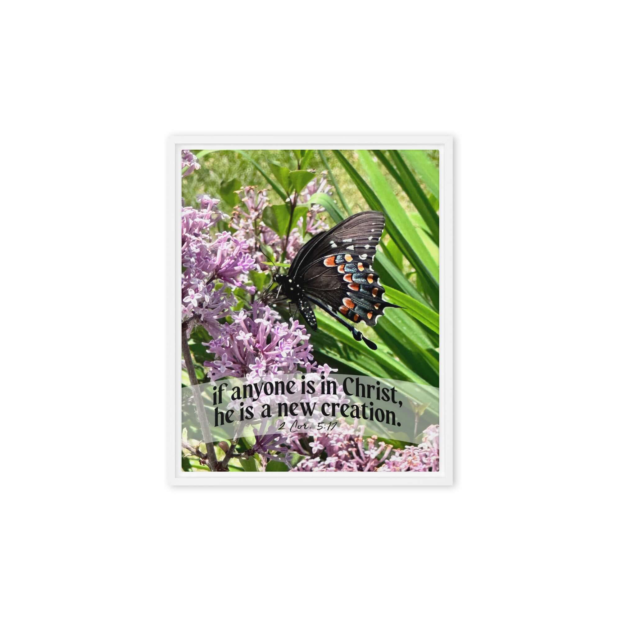 2 Cor. 5:17 Bible Verse, Butterfly Framed Canvas