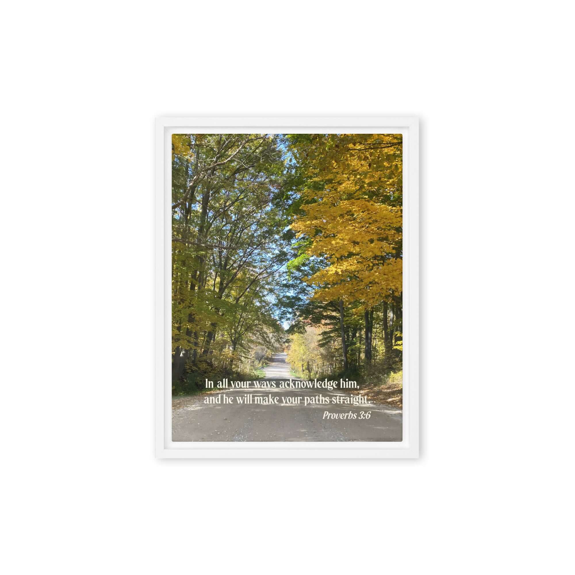 Prov 3:6, Bible Verse, Fall Road Framed Canvas