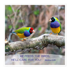 Matt 6:26, Gouldian Finches, He'll Care for You Kiss-Cut Sticker