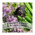 2 Cor. 5:17 Bible Verse, Butterfly Kiss-Cut Sticker