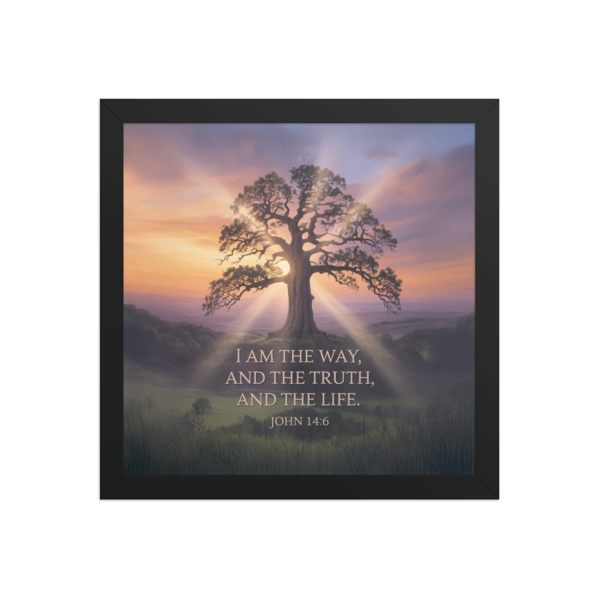 John 14:6 Bible Verse Jesus said Premium Luster Photo Paper Framed Poster Black 12″×12″