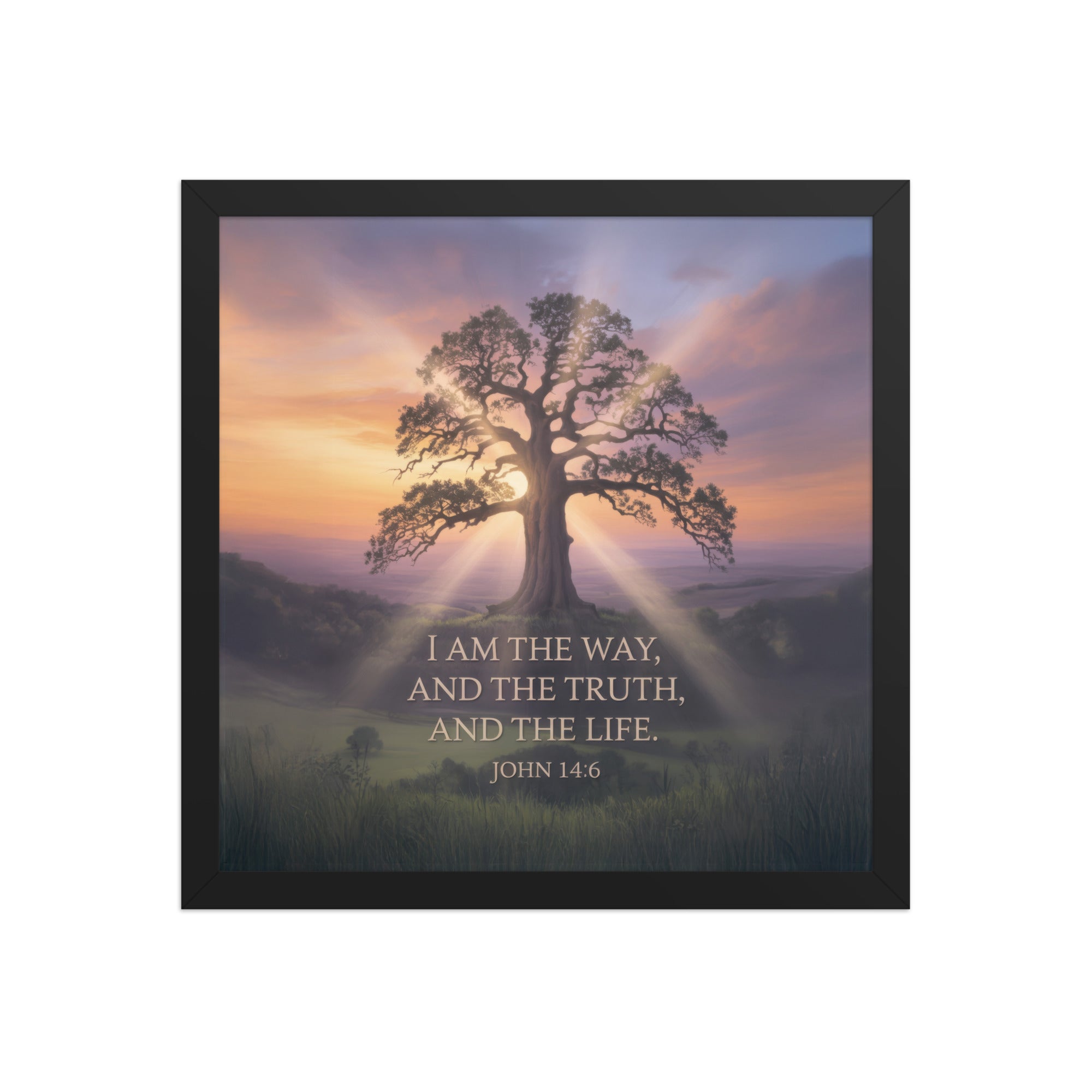 John 14:6 Bible Verse Jesus said Premium Luster Photo Paper Framed Poster Black 14″×14″