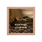 Matt 6:26, Baby Robins, He'll Care for You Premium Luster Photo Paper Framed Poster