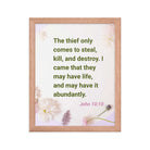 John 10:10 - Bible Verse, Abundant Life Premium Luster Photo Paper Framed Poster