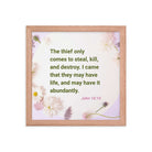 John 10:10 - Bible Verse, Abundant Life Premium Luster Photo Paper Framed Poster