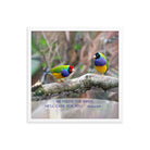 Matt 6:26, Gouldian Finches, He'll Care for You Premium Luster Photo Paper Framed Poster