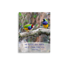 Matt 6:26, Gouldian Finches, He'll Care for You Premium Luster Photo Paper Poster