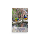 Matt 6:26, Gouldian Finches, He'll Care for You Premium Luster Photo Paper Poster