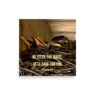 Matt 6:26, Baby Robins, He'll Care for You Premium Luster Photo Paper Poster