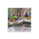 Matt 6:26, Gouldian Finches, He'll Care for You Premium Luster Photo Paper Poster