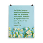 1 Peter 2:24 - Bible Verse, healed by His wounds Premium Luster Photo Paper Poster