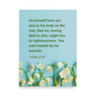 1 Peter 2:24 - Bible Verse, healed by His wounds Premium Luster Photo Paper Poster