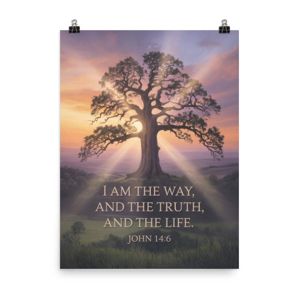 John 14:6 Bible Verse Jesus said Premium Luster Photo Paper Poster 18″×24″