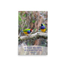 Matt 6:26, Gouldian Finches, He'll Care for You Premium Luster Photo Paper Poster