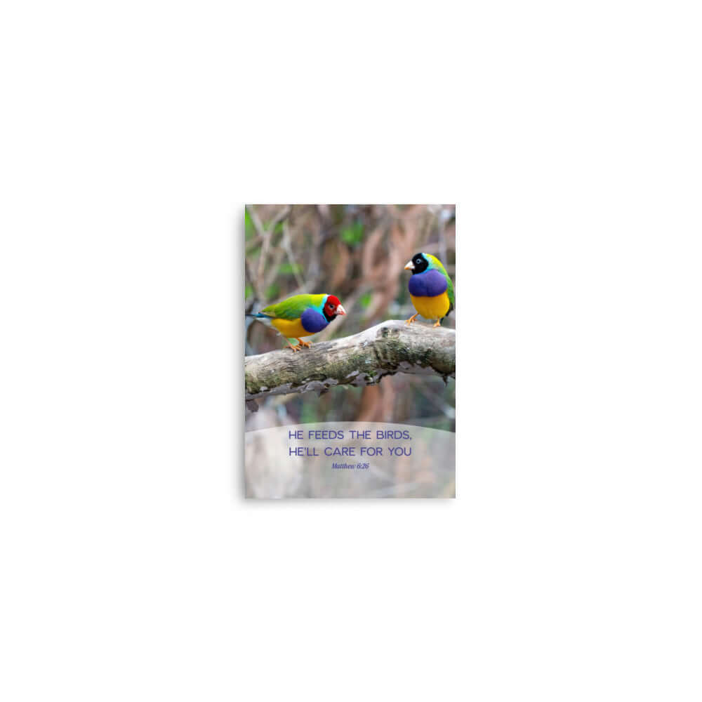 Matt 6:26, Gouldian Finches, He'll Care for You Premium Luster Photo Paper Poster