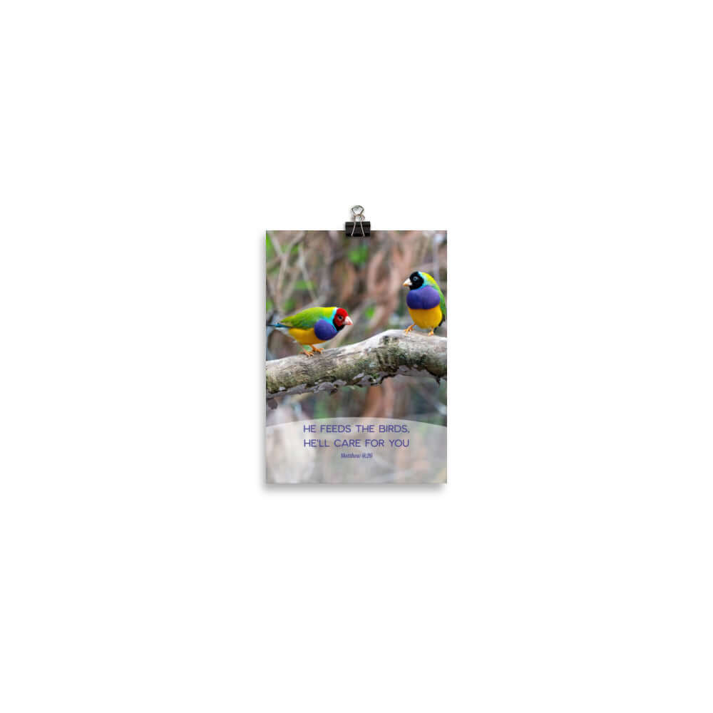 Matt 6:26, Gouldian Finches, He'll Care for You Premium Luster Photo Paper Poster